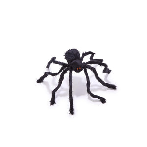 Furry Tarantula