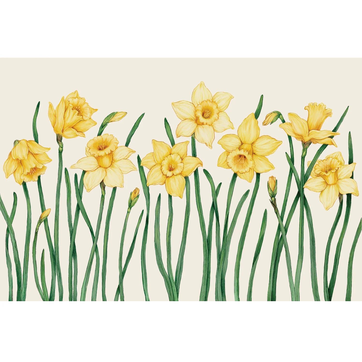 Field Of Daffodils Placemats